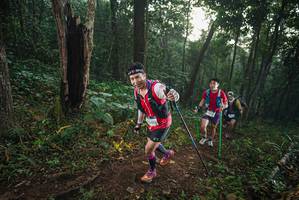 BIB: 
                            <button type="button" onclick="openModal(22432284)" class="btn btn-primary btn-sm float-right btn-popup" data-toggle="modal" data-target=".modal-high-quality">
                        <i class="fas fa-shopping-cart"></i> Add to Cart
                    </button>
                                            <button type="button" onclick="isThisMe(22432284, true)" class="btn btn-success btn-sm float-right btn-popup btn-isme hidden" data-toggle="tooltip" data-placement="bottom" title="นี่คือรูปของคุณใช่ไหม คลิกที่นี่เพื่อเอาเข้าอัลบั้ม">
                        <i class="fas fa-plus"></i> Add to album
                    </button>
                    <button type="button" onclick="isThisMe(22432284, false)" class="btn btn-warning btn-sm float-right btn-popup btn-isnotme hidden">
                        <i class="fas fa-ban"></i> Remove from album
                    </button>